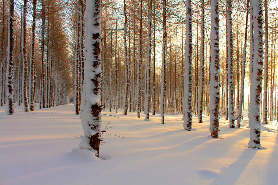 新闻中心-新闻中心资讯新闻-新闻中心行情月评-中色报网